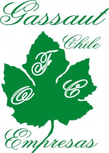 logo gassaut.cl logo gassaut.cl